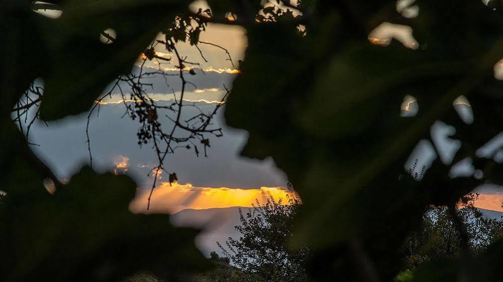 Io Villa Stoúpa Dış mekan fotoğraf